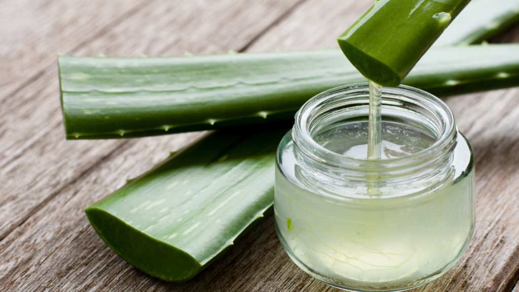 cicatrisant aloe vera 