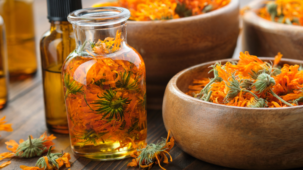 cicatrisant extrait de calendula